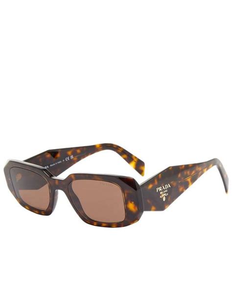 prada brown eyeglasses|Prada symbole sunglasses tortoise.